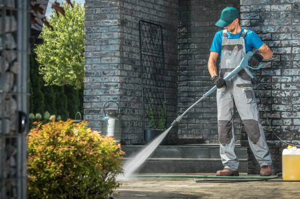 Best Animal Enclosure Cleaning  in Boulder, CO